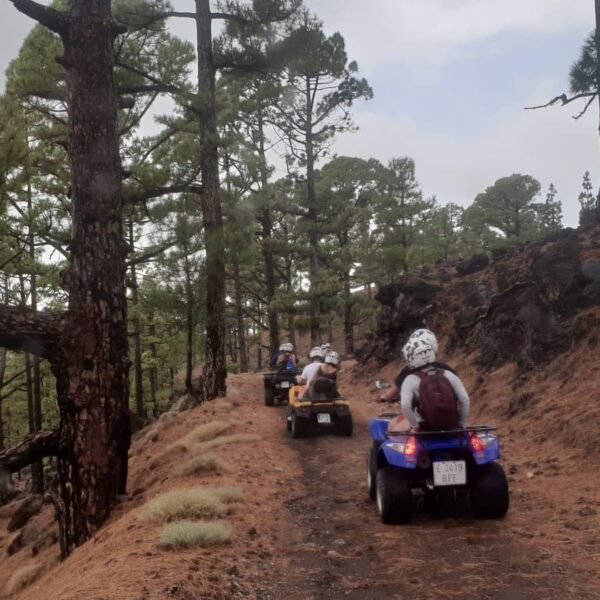 Quad Excursion Tenerife – Image 3